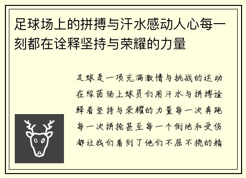 足球场上的拼搏与汗水感动人心每一刻都在诠释坚持与荣耀的力量