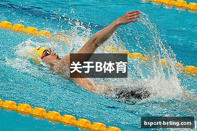 关于B体育